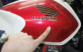 HONDA CB1300SF SUPER FOUR 2007 SC54