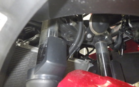 KAWASAKI NINJA 250 EX250P