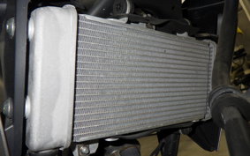HONDA CB250R 2025 MC52