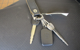 YAMAHA MAJESTY 250C SG03J