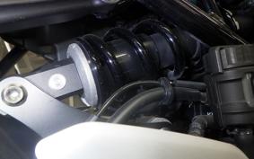 KAWASAKI Z900RS 2019 ZR900C