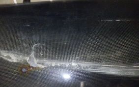 HONDA CBR1100XX 2002