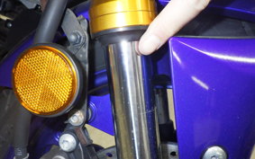 YAMAHA YZF-R25 2022 RG43J