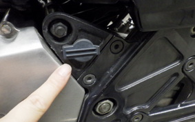 KAWASAKI ZEPHYR 550 2022 ZR550B