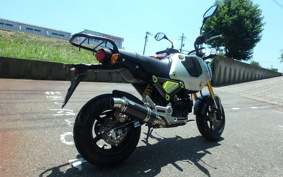 HONDA GROM JC92