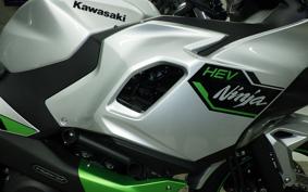 KAWASAKI NINJA7ﾊEVEﾘｯﾄ 2025