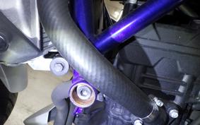 YAMAHA MT-25 2021 RG10J