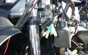 YAMAHA FZR250 Gen.2 R 3LN