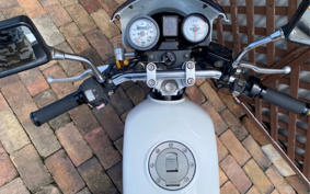 YAMAHA RZ50 RA01J