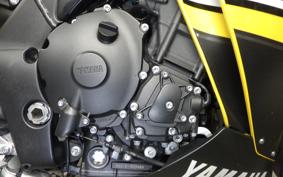 YAMAHA YZF-R1 2010 RN24J