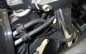 KAWASAKI VERSYS X250Aﾂｱﾗｰ 2022 LE250D