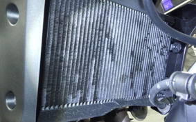 YAMAHA MT-07 2025 RM48J