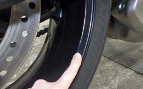 TRIUMPH TRIDENT 660 2024