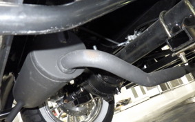 OTHER +UNREGISTERED MODEL by BDS125 TRIKE