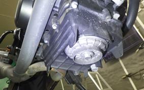HONDA VTRF250 2006 MC33