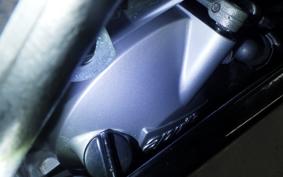 APRILIA RS250