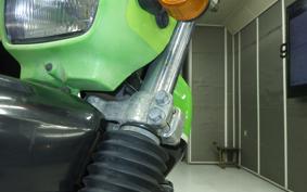 KAWASAKI SUPER SHERPA 2021 KL250G