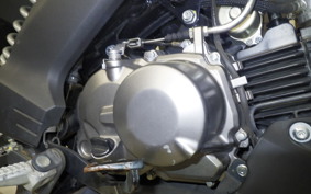 KAWASAKI Z125 PRO BR125H