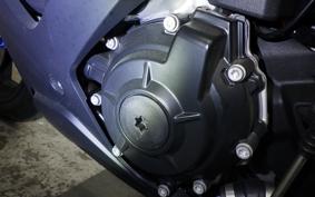 BMW S1000RR M DDC 2024