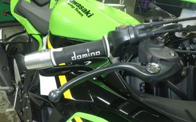 KAWASAKI NINJA ZX-6R A 2026 ZX636J
