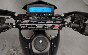 KAWASAKI D-TRACKERX LX250V