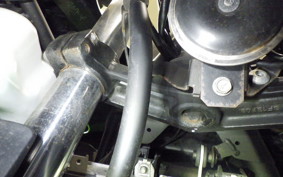 KAWASAKI NINJA 250 2019