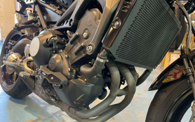 YAMAHA XSR900 2018 RN56J