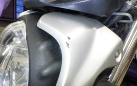 SUZUKI グラディウス400 2010 VK58A