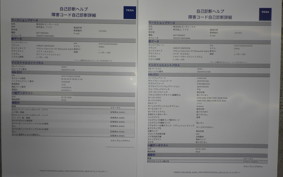HARLEY FLSL 1750 2018
