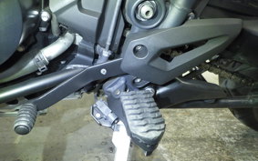TRIUMPH TIGER 800 2013