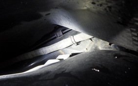 HONDA TACT Basket 2006 AF75