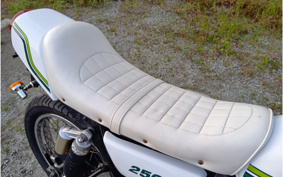 KAWASAKI 250TR BJ250F