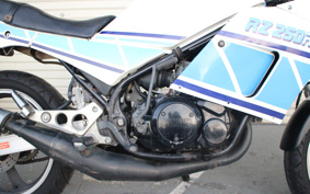 YAMAHA RZ250R 29L