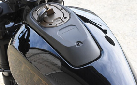 HARLEY Sprotster S 2021 ZC4