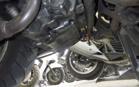 OTHER +UNREGISTERED MODEL by BDS250