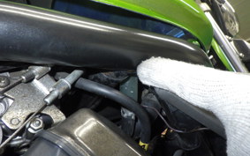 KAWASAKI BALIUS 250 Gen.2 2022 ZR250B