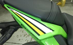 KAWASAKI NINJA ZX-6R A 2026 ZX636J