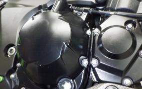 KAWASAKI Z1000 ABS 2018 ZXT00W