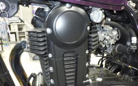 KAWASAKI 250TR 2024 BJ250F