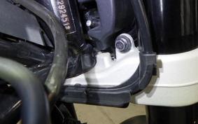 HUSQVARNA SVARTPILEN 401 2022
