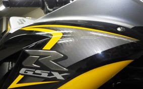 SUZUKI GSX-R600 2009