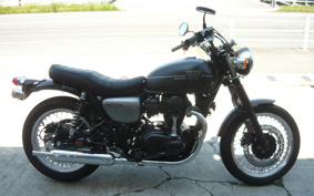 KAWASAKI W800 STREET 2019 EJ800B