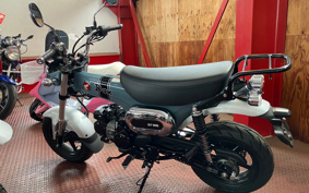 HONDA  DUX 125 JB04