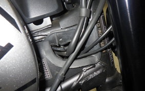 TRIUMPH TRIDENT 660 2021