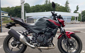 KAWASAKI Z250ABS EX250P