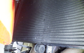 YAMAHA XSR900 GP 2024 RN96J