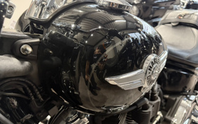 HARLEY FLFBS 2021 YGK