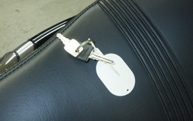 HARLEY XL1200XS 2019