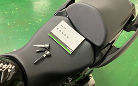 KAWASAKI NINJA 1000 ABS 2019 ZXT00W