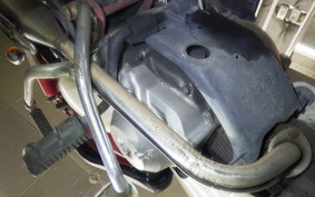 HONDA LITTLE CUB 2022 AA01